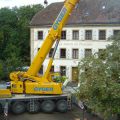La grue